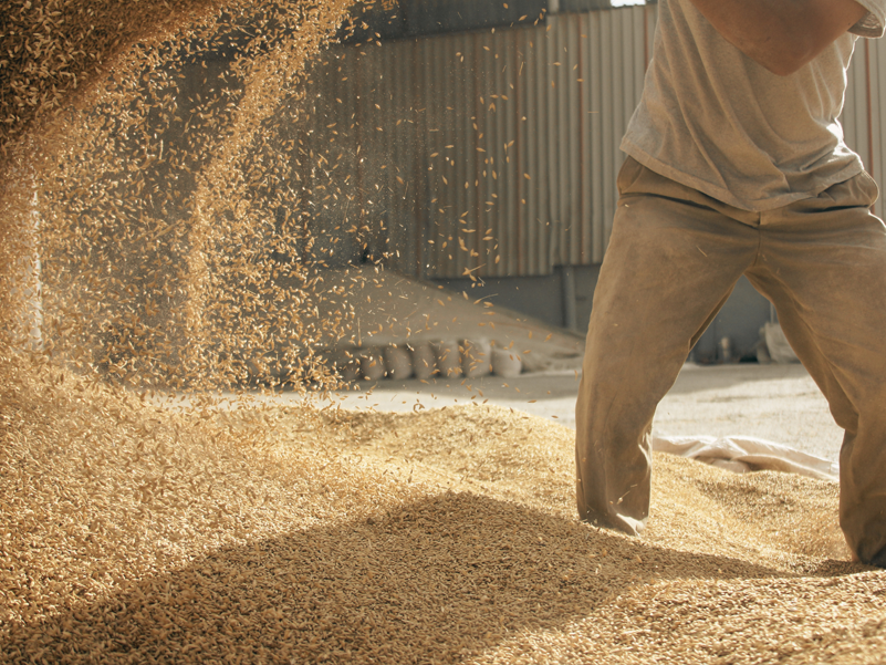 Innovation-driven, customer-trusted
Years of dedicated R&D have yielded a legacy of top-quality feed products, celebrated by farmers, premix manufacturers, and feed mills globally